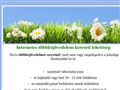 http://internetesmunka.biz ismertető oldala